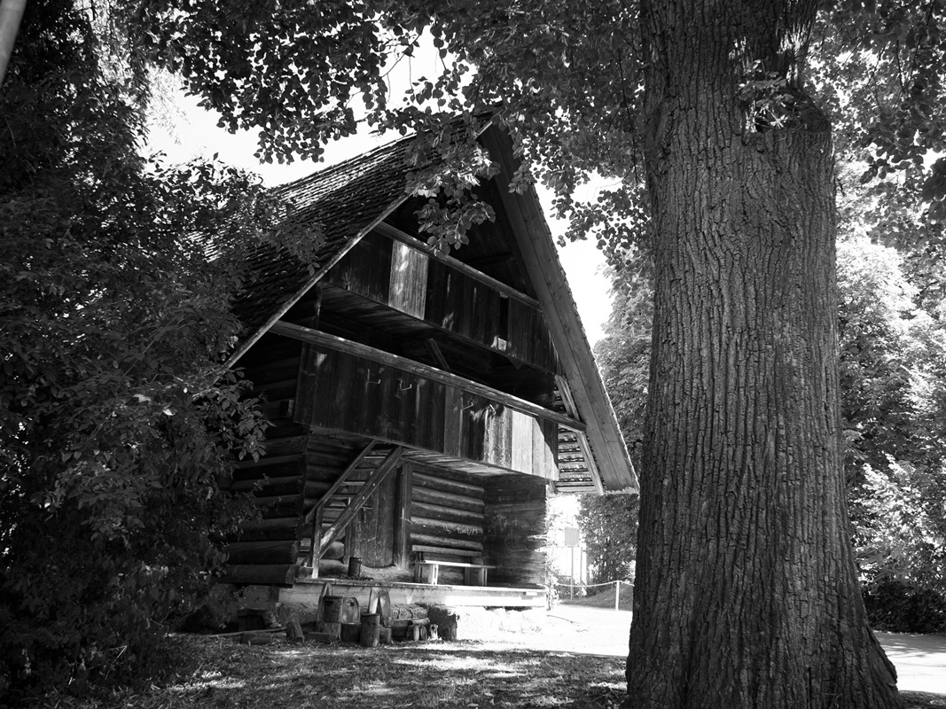 Schulhaus Wildbach Solothurn